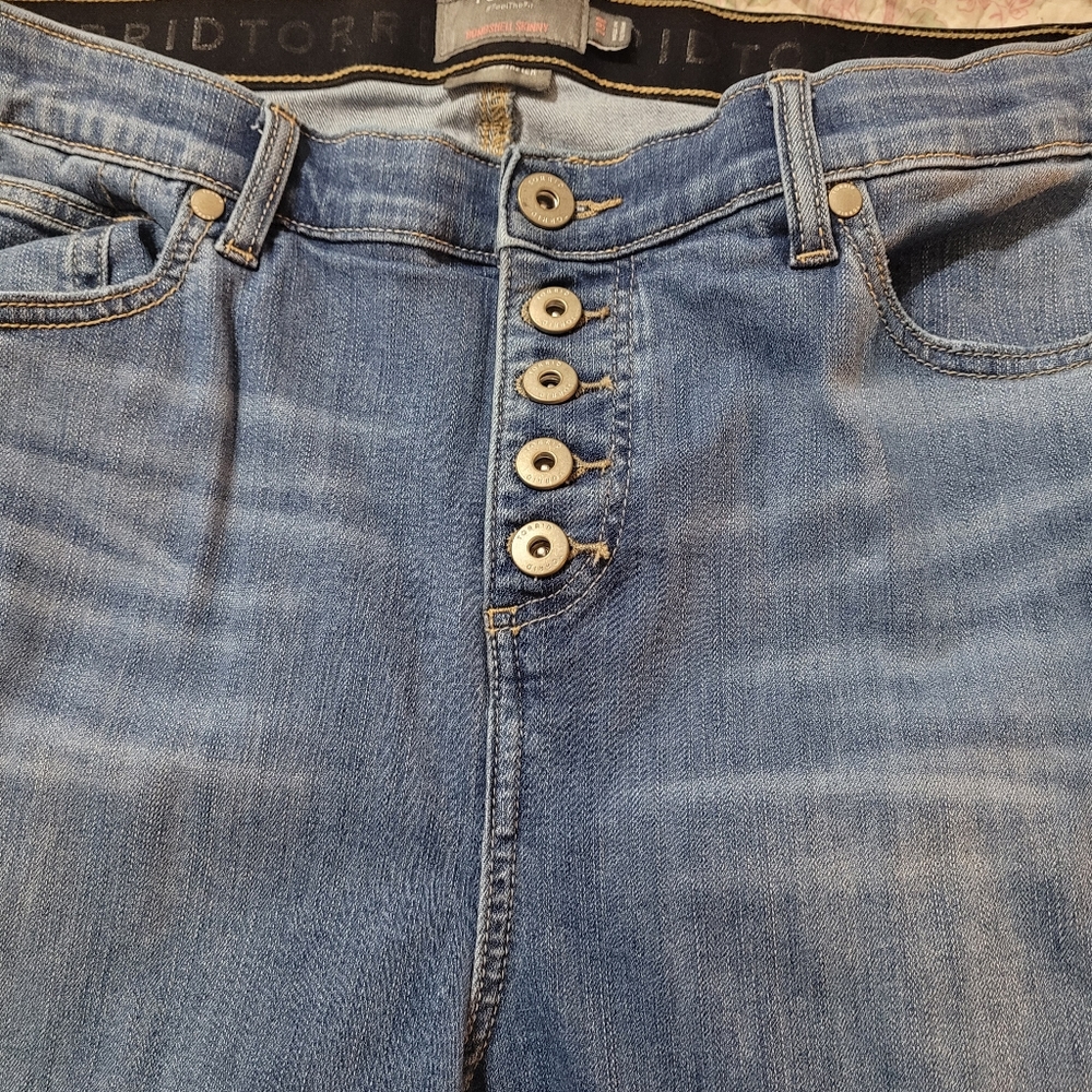 Torrid Jeans